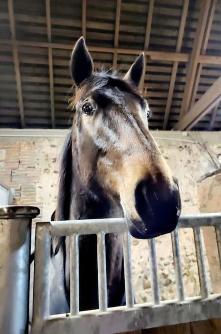 Au Haras D'agathe Et Ses Princes Holiday home *