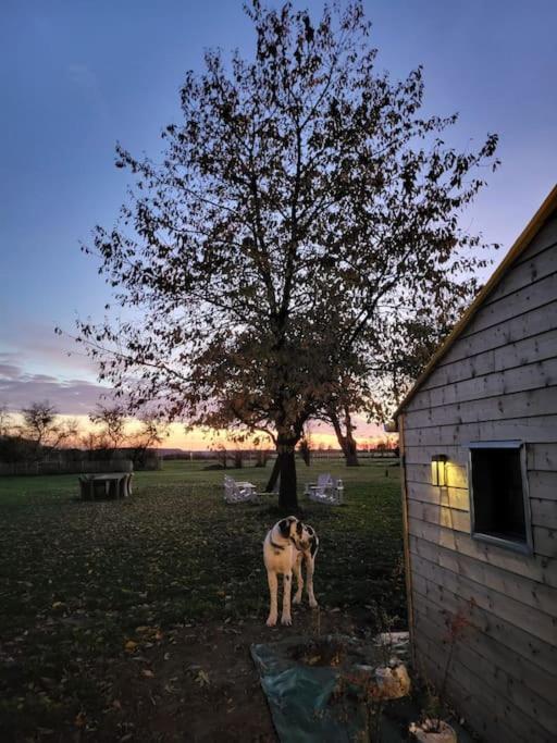 Au Haras D'agathe Et Ses Princes Holiday home