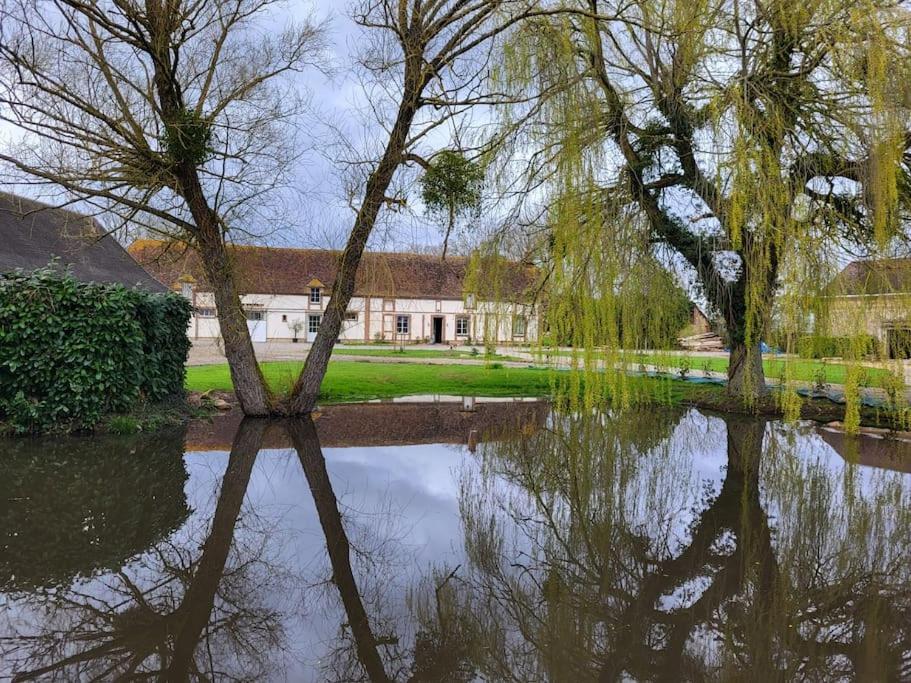 Au Haras D'agathe Et Ses Princes